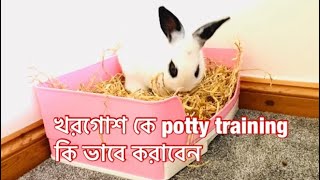 How to Litter Train Your Rabbit