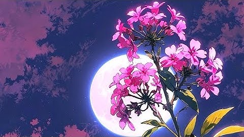 math reasoning quiz puzzle (part 23)#math#reasoning#quiz#puzzle