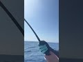 ضرب علينا القرش ضرب علينا القرش