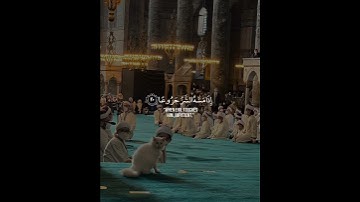 إن الإنسان خلق هلوعا | سورة المعارج | القارئ موسى الصمادي