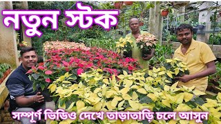 Download Lagu বিরাট চমক দিল মুখার্জি বাবু, চোখ মন জুড়িয়ে যাবে গাছ দেখে / High quality plant nursery/ MP3 Download Lagu বিরাট চমক দিল মুখার্জি বাবু, চোখ মন জুড়িয়ে যাবে গাছ দেখে / High quality plant nursery/ MP3