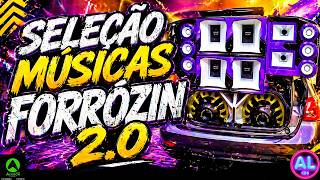 SELEÇÃO MÚSICAS FORRÓZIN 2.0 - ATUALIZADO AS MELHORES 202...