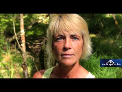 Video: Bästa Ställen För Skogsbad