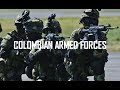 Colombian Armed Forces 2019