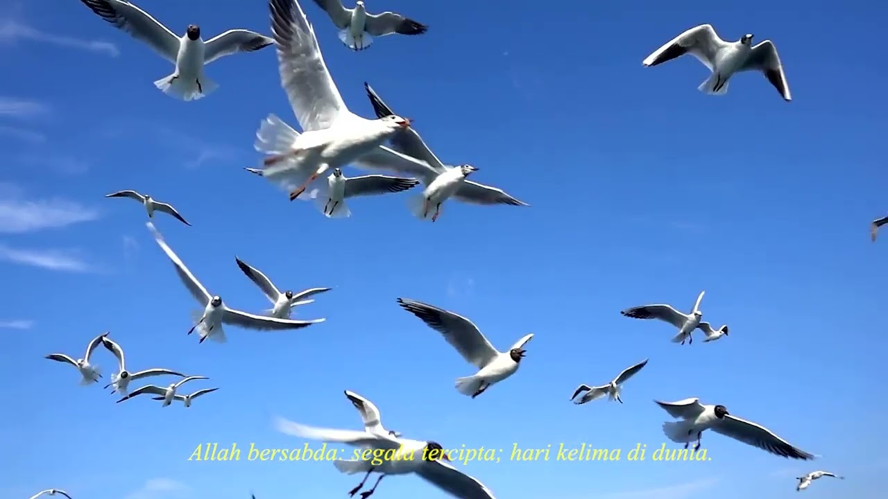 Video full Liturgi 1 (Penciptaan)