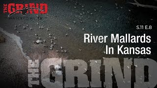 Icy River Mallards in Kansas! | The Grind S11: E8