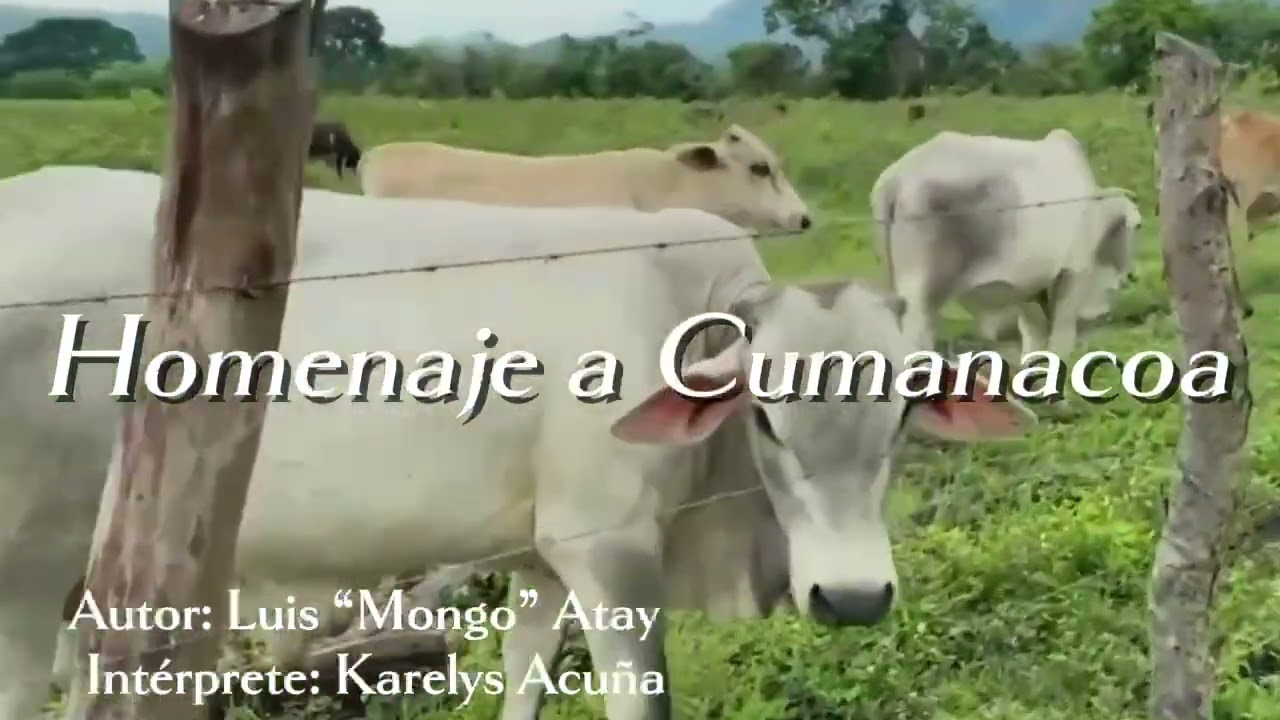 Homenaje a Cumanacoa.  Arreglos: Ángel Agreda. Versión: Vals Pasaje.