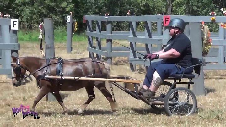 Deborah Alverson; Equestrian Institute Combined Dr...