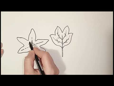 How to draw leafs / Kako crtati lisce