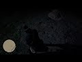 rdr2 - Perfect Bull Hide