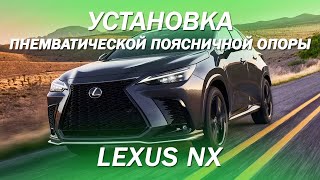 Установка пнемватической поясничной опоры в Lexus NX [ПОЯСНИЧНАЯ ОПОРА В АВТО  2022]