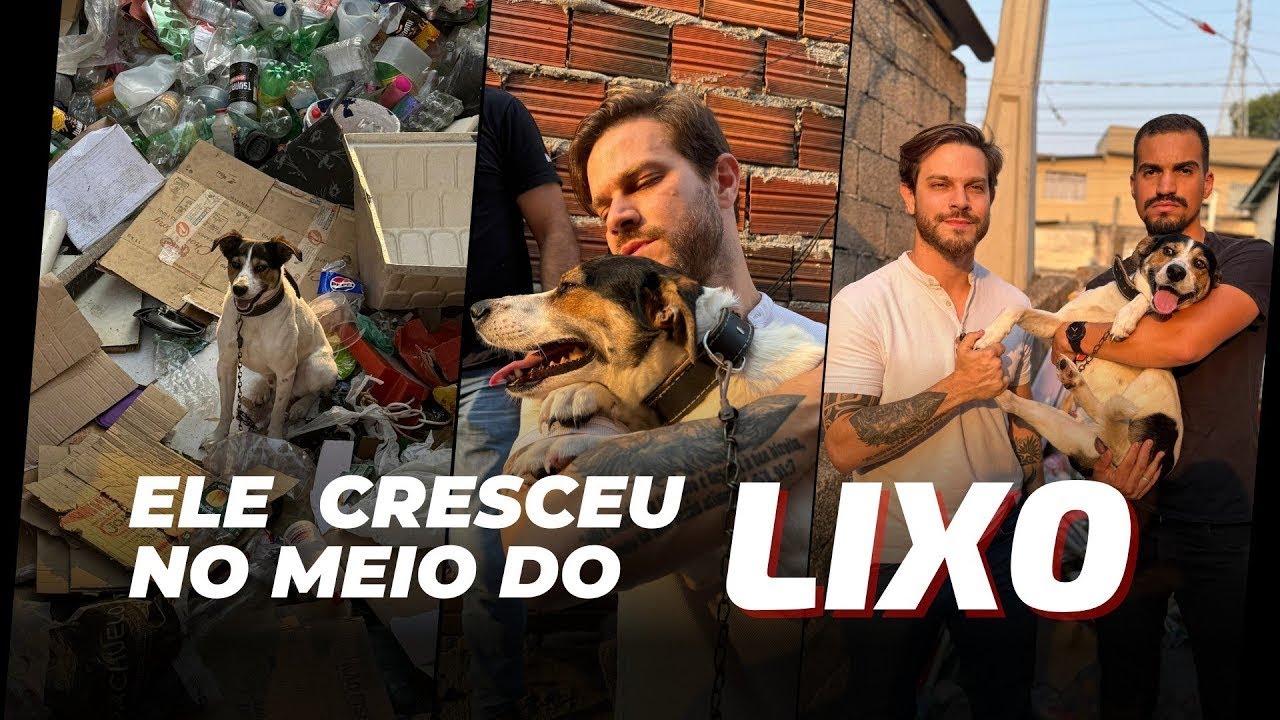 Eu chorei de alívio e emoção assistindo! 😭