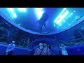 Китай 360. Подводный мир. Акулы, ламантины и другие обитатели. Парк Чимелонг в Чжухай
