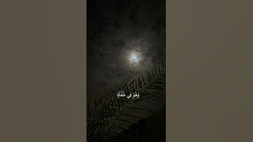 القارئ عبدالرحمن مسعد || سورة مريم