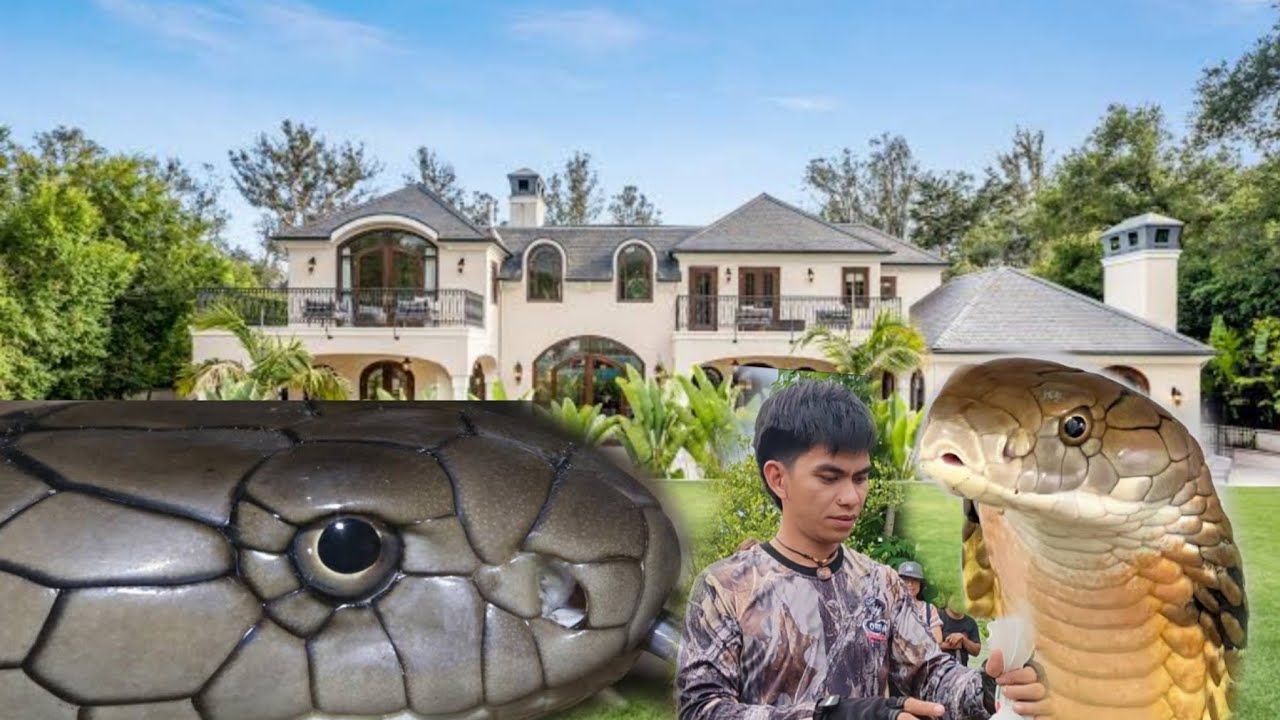 ISANG MANSION PINASOK NG... #cobraprince