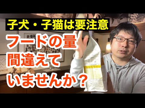 【子犬・子猫】正しいフードの量についてペットショップ店長が解説します