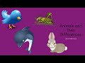 Quiz sobre el Video Tutorial
