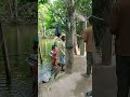 After Salatul Jumma prayer 🤲🙏 exit from a mosque at Chattogram Bangladesh #Jumma Mubarak #lovely