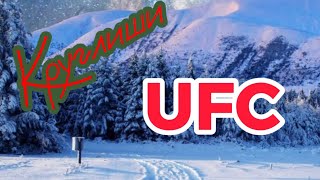 «Круглиши» UFC