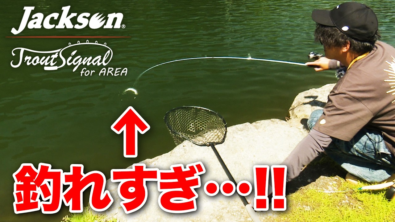 トラウトシグナル AREA | New Products | Jackson
