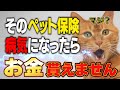 【暴露】獣医は絶対に入らないペット保険の話