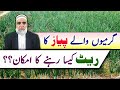 How much rate of summer cultivated onion crop is expected  crop reformer