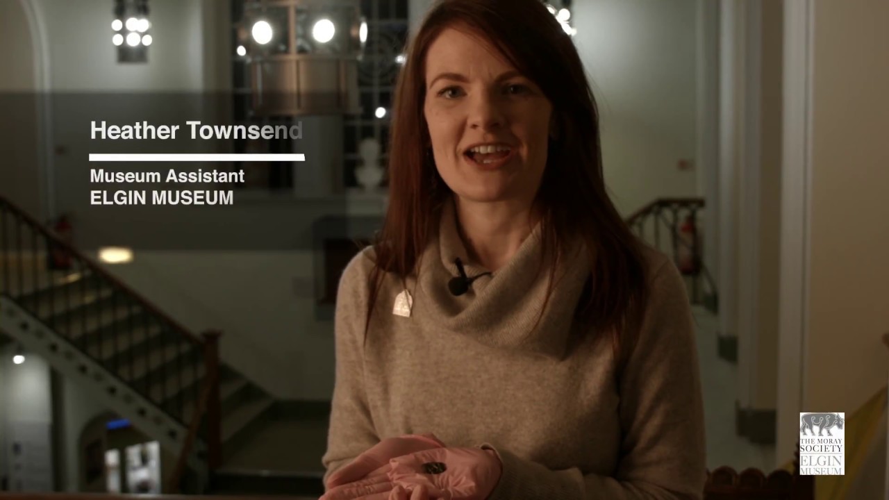 Elgin Museum Collection Highlight: Zoomorphic Mount