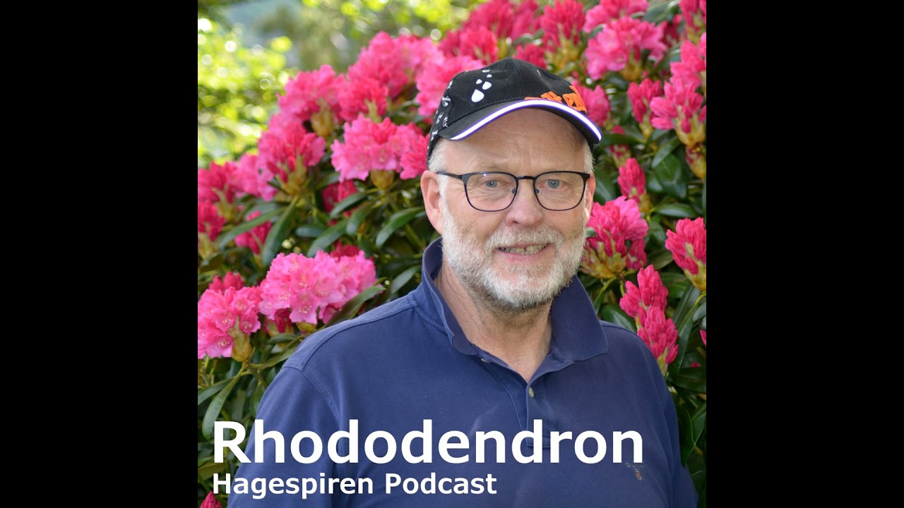 23/23: Rhododendron med Leif Arne Løvereide