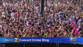 Pickpockets Came In Targeting Phones At Lollapalooza