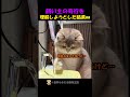 飼い主の奇行（風呂）を理解しようとした猫ww #海外 #動物 #funnyanimals