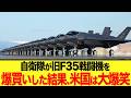 【ゆっくり解説】日本が旧F35を大量購入した!?なぜ航空自衛隊は戦闘機を全部F-35にしないのか?日本の防衛戦略の核心に迫る!