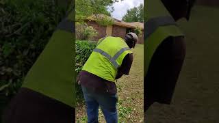 Hart hedge trimmer experience