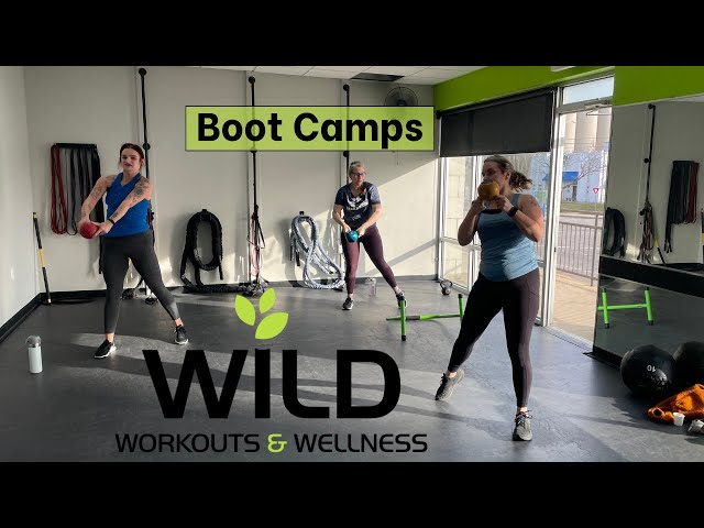 Jumping but WHY? - Wild Workouts & Wellness