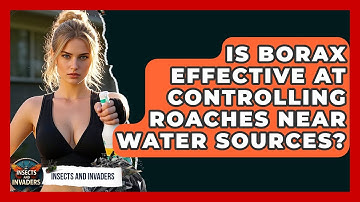 Is Borax Effective At Controlling Roaches Near Water Sources? - Insects and Invaders