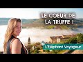 EP4. LE COEUR DE LA TRUFFE, EN ISTRIE (Vlog Croatie voyage)
