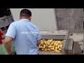 Potato washer machine