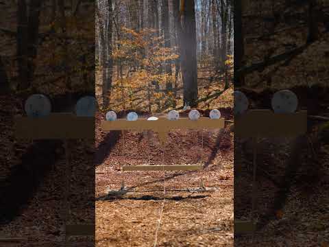 Soothing Shooting ASMR #ASMR #PhoenixPlateRack #Phoenix