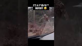 It's a F*@#%** BIGFOOT!! #shorts #bigfoot #funnyvideos