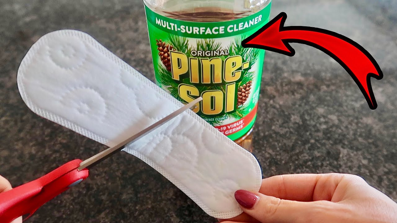 Put $1 Pine Sol on your Panty Liner 💥 Miracle \u0026 Ingenious Trick! (WATCH THIS)