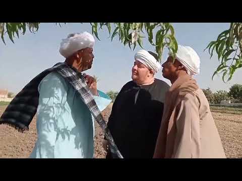 أخرت الجري وراء الفلوس
