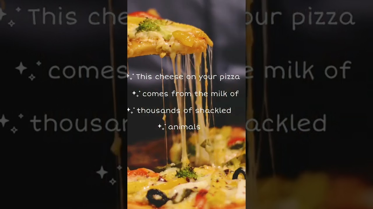 cheese #shorts #cheesecake#cheesey#vegan#veganism#acharyaprashant