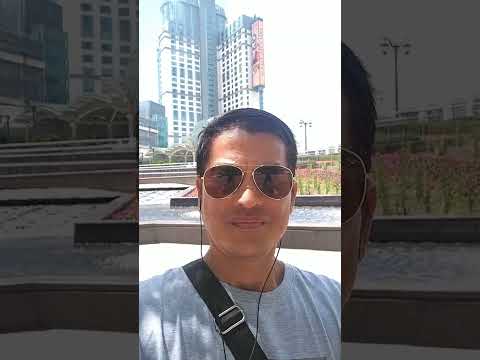 Dino game winner #shorts #top #games #casino #casinoonline #casinogames