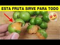 Esta fruta mejora la vista, limpia intestinos y combate el insomnio 😮
