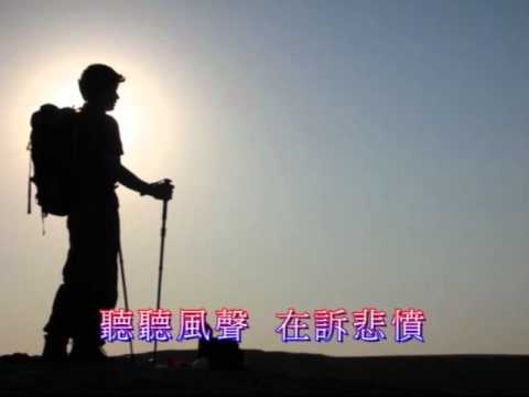 蔡楓華 - 風塵