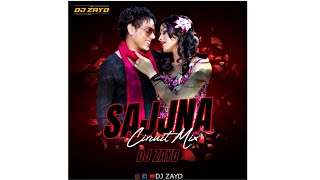 TERI PYAARI PYAARI DO ANKHIYA - REMIX - DJ ZAYD || SAJJAN || 