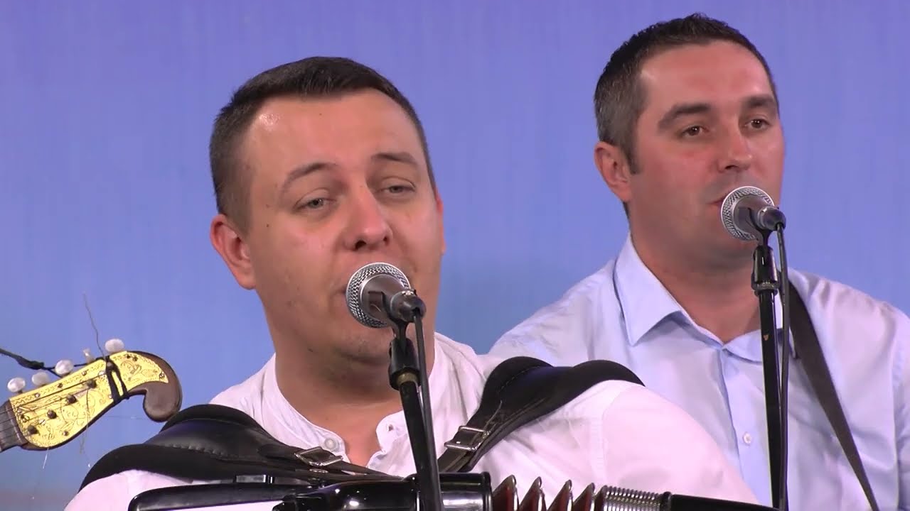 ts VEPROVI  - Ti si žena mog života