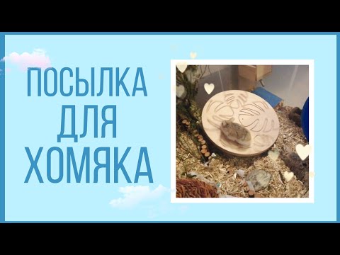 ОБЗОР НА ДИСК ОТ DORADO WOOD 🌿 || РАСПАКОВКА ПОСЫЛКИ ДЛЯ ХОМЯКА 🐹✨