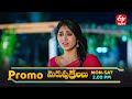 Merupu Kalalu Latest Promo | Episode No 161 | 2nd December 2025 | ETV Telugu
