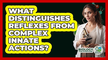 What Distinguishes Reflexes From Complex Innate Actions?