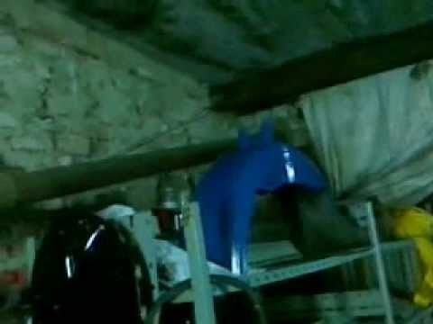 Канва для вышивки по фото Канва для вышивки по фото
